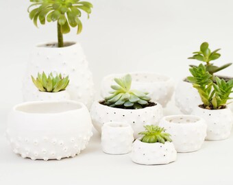 Handmade Ceramic Planter Spiky White Ceramic Bowl Ceramic Dish ~ Modern Planter White Porcelain Bowl Jewelry Dish Ceramic Gift Ring Dish