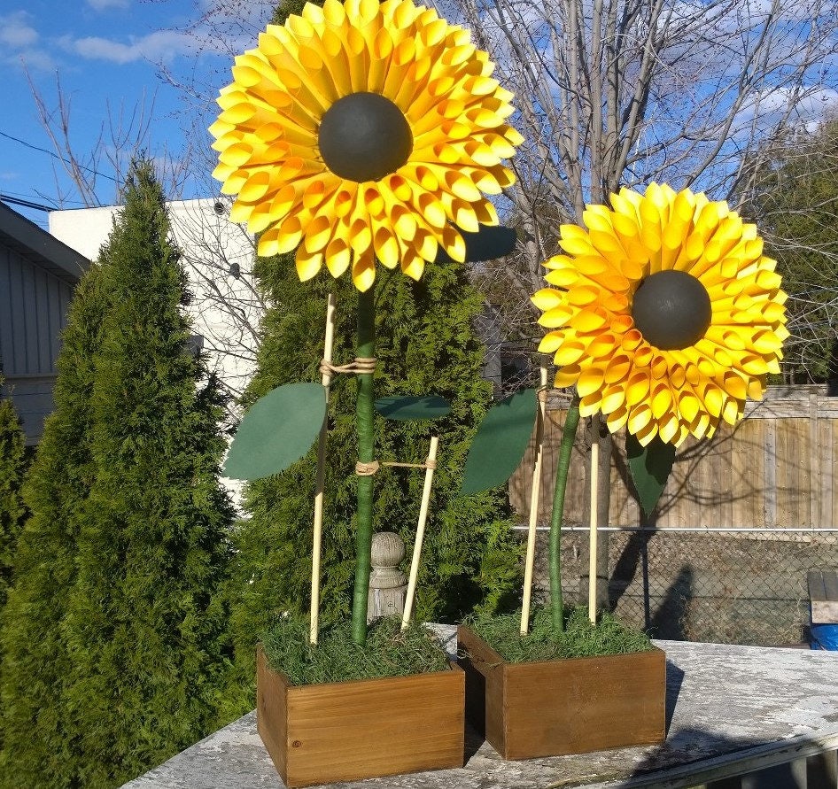 paper sunflowers I use affiliate links in this post if you buy anything from my links i will earn a small commission what you will need coloured craft paper–. paper sunflowers I use affiliate links in this post if you buy anything from my links i will earn a small commission what you will need coloured craft paper–.