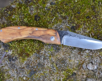 Piedmontese Olivier and c130