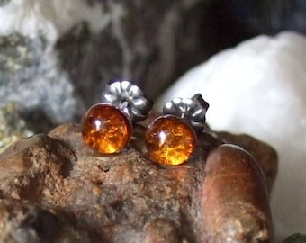 Baltic Amber 6mm Ear Studs Stud Earings Titanium Posts and Clutches Hypo Allergenic Made in Newfoundland ENERGY No Bugs