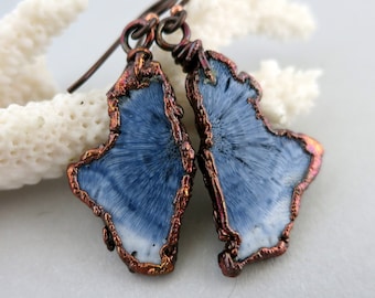 Blue Fossilized Coral Earrings, Electroformed Copper, Niobium Earwires