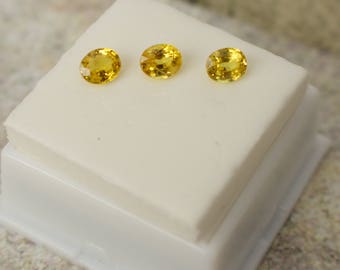 Gorgeous 0.70 Ct. Ave. Genuine 6x5 MM Flawless Yellow Sapphire Gemstones.