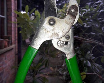 Vintage gardening SECATEURS. Old garden tools.
