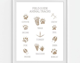 Animal Tracks Art Print, Boys Wall Art, Woodland Nursery Animal, Field Guide, Boys Room Decor, Woodland Decor, Hunting Guide, Wildlife
