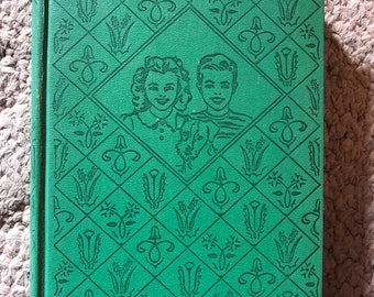 The Bobbsey Twins at the Circus