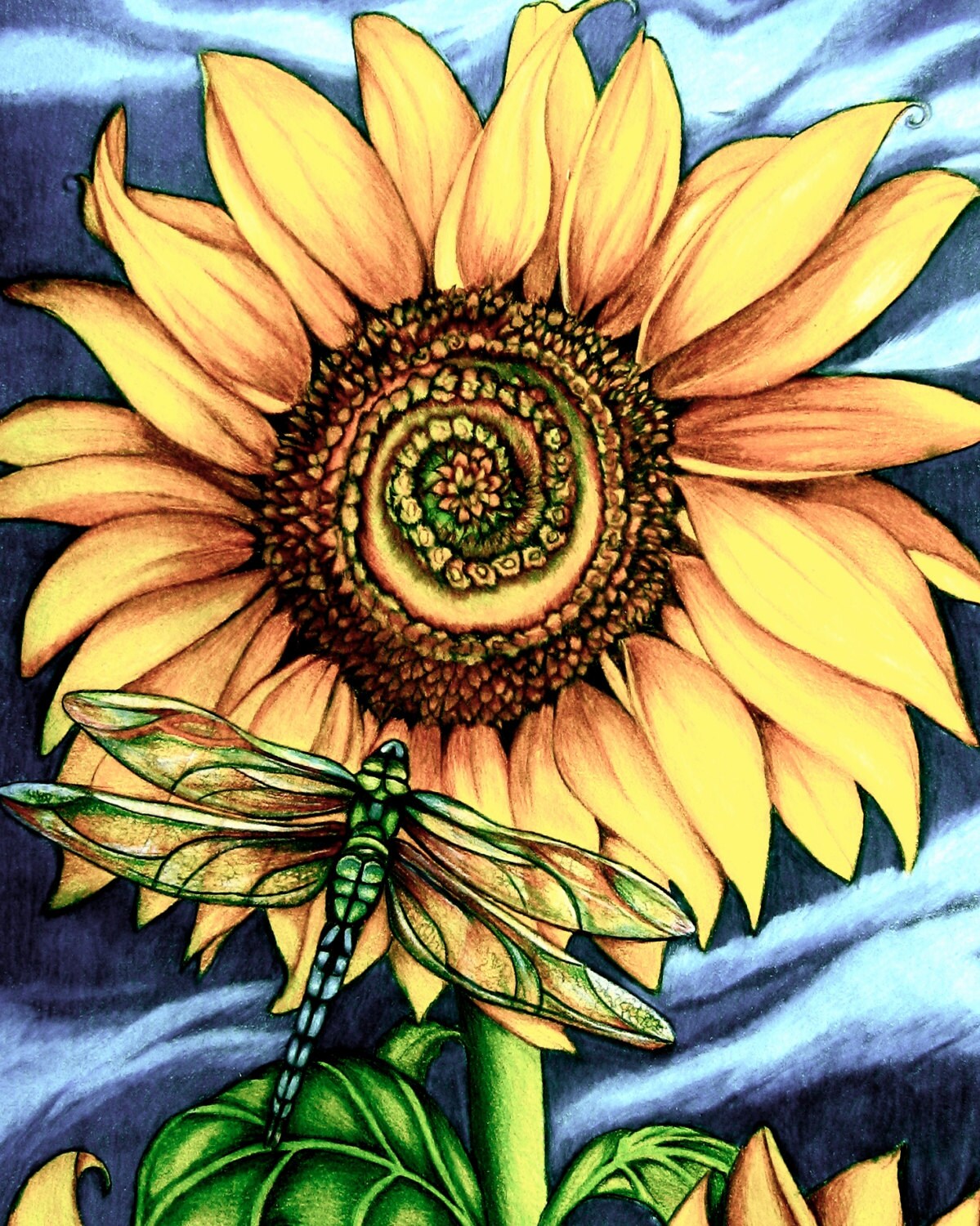 sunflower art print by ClaudiaTremblay