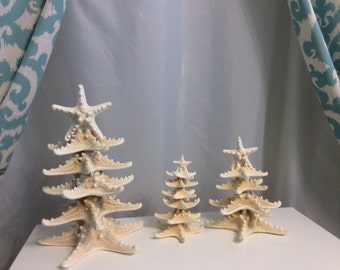 White thorny starfish trees