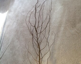 5 ft. Twisted / Curly Willow Branch ORGANIC CHEMICAL-FREE Home Decor