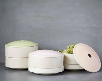 Sprouter in ceramic, make your germination, be green in your kitchen.