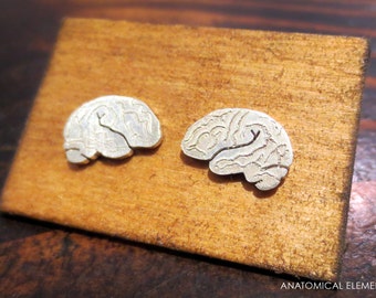 Brain Earrings - Sterling Silver