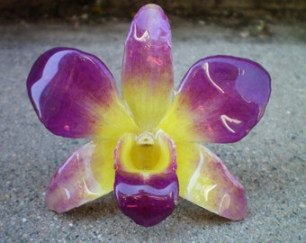 Free Shipping REAL Natural Soft Yellow and Magenta Radiant ORCHID Pin and Pendant
