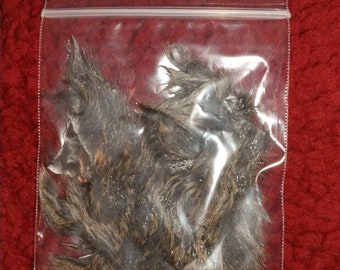 Small Baggie of Flying Squirrel Fur Taxidermy Fly Tying