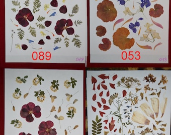 Real pressed leaves and flowers #089 #053 #090 #963