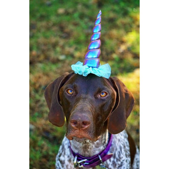 Dog Unicorn Costume || Dog Unicorn Headband || Unicorn Headband for Dog || Pet Unicorn Costume || Dog Unicorn || Unicorn Dog