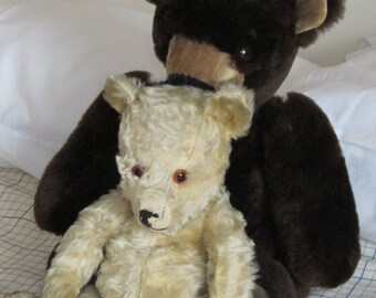 Animal Toy Hospital Toy Bear Specialist Care Toy Dinosaurs Rejuvenated Toy Dragons Welcome COLDHAMCUDDLIES Clinic Any Animal Toy Restored