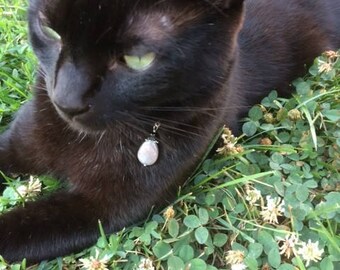 Cat Collar Charm, Cat Charm, Cat Bling, Cat Accessory, Pet Collar Charm, Dog Collar Charm, Dog Charm, Dog Accessory, Pet Charm, Labradorite