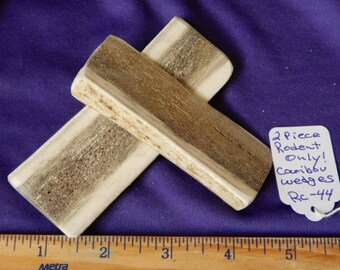 2 Piece RODENT ONLY Small Caribou Beam Wedges Antler, RC-44