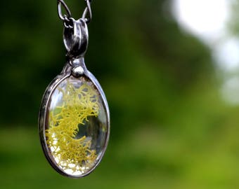 Real Moss Necklace, Terrarium Necklace, Forest Floor, Nature Jewelry, Nature Gift, Moss Pendant, Terrarium Jewelry, Moss Jewelry (2188)