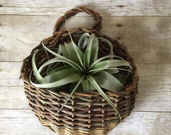 Vintage Boho Wicker Wall Pocket Hanging Basket