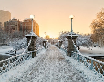 Photograph of the Boston Public Garden