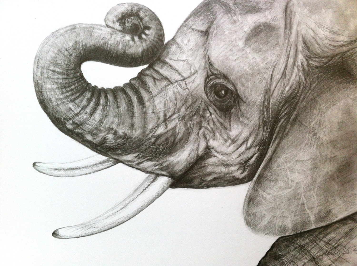 cutebaby elephants drawing