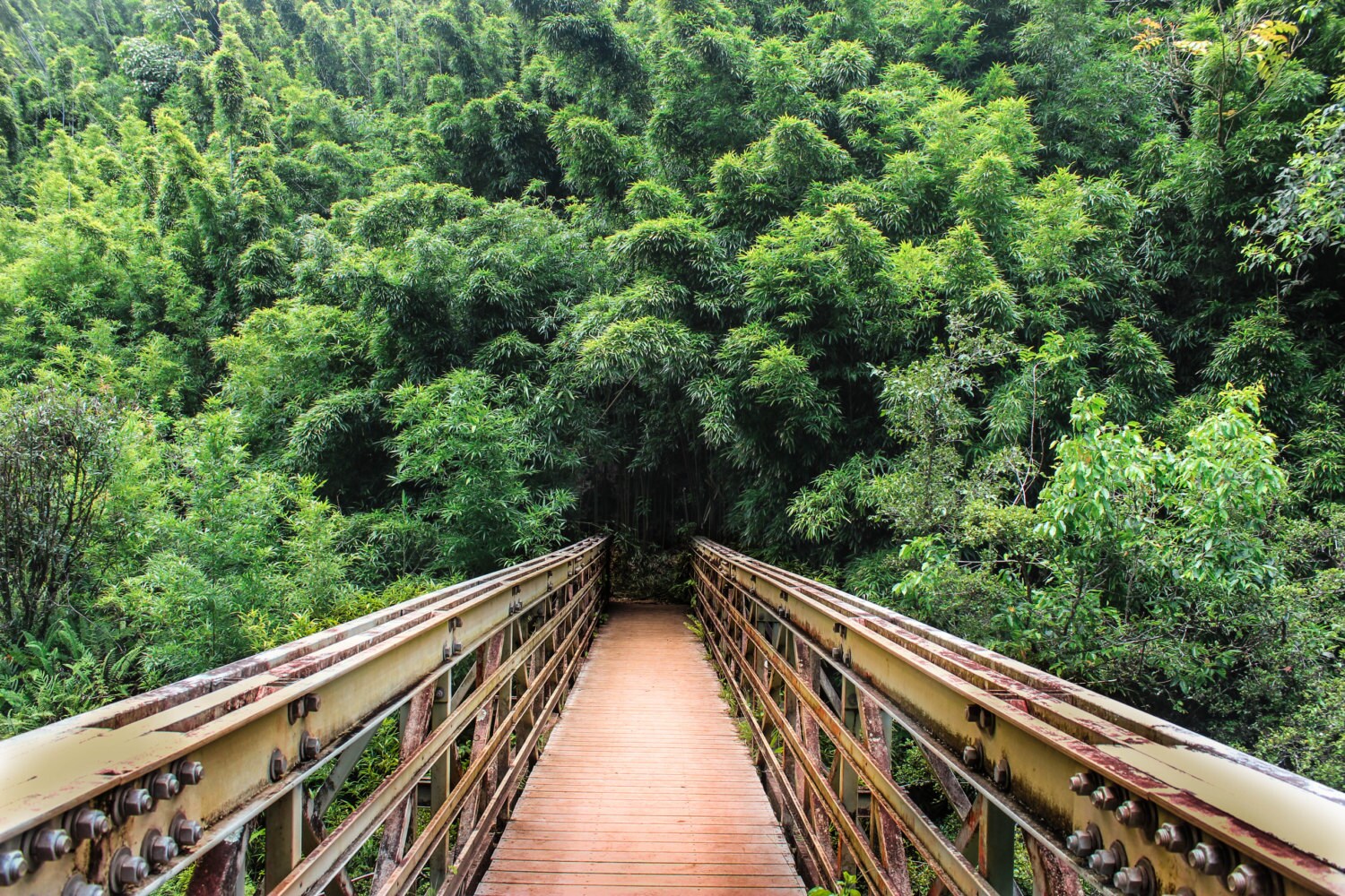 Road to Hana Maui Hawaii Bamboo Forest Bridge Waterfall Zen