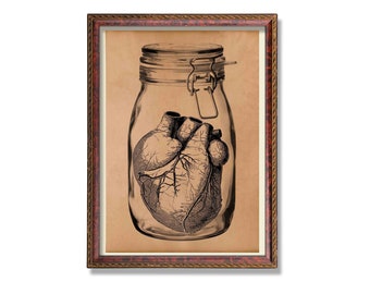 Antique heart anatomy print Medical illustration Anatomical decor