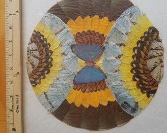 Blue Morpho Butterfly Art