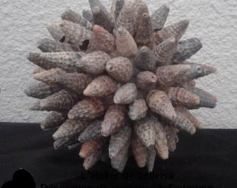 Unique 12cm H shell ball
