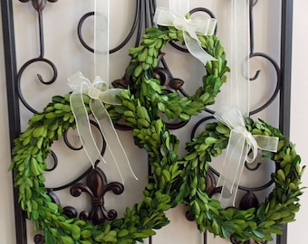 6" 8" 10" Preserved Boxwood Wreath-Boxwood Wreath-Wedding Wreath-Farmhouse Boxwood Wreath-Farmhouse Decor-Small Mini Boxwood Wreath Wreaths