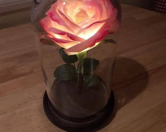 Enchanted rose | Etsy