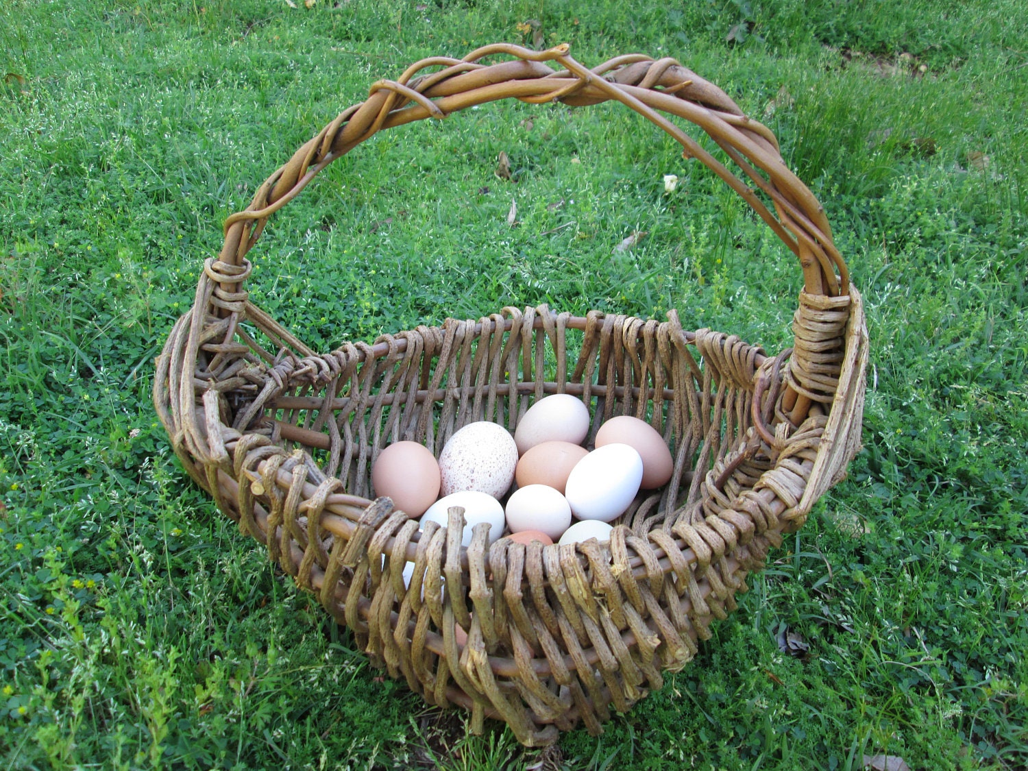 Kudzu Vine Storage Basket Large Handmade Hand Woven Alabama