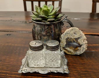 Vintage Silver Plated Salt and Pepper Shakers