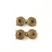 Vintage Etruscan Inspired Double Strand Clasp