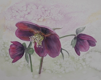 Original Flower Painting
