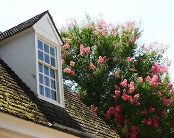 Colonial Williamsburg Architecture