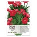 Cardinal Climber Seeds (Ipomea x multifida) Non-GMO Seeds by Seed Needs