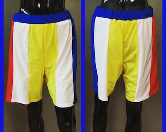 MADE TO ORDER Katy Perry "Beach Ball" Superbowl Costume Inspired Shorts for Men