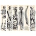 Humani Corporis Fabrica Bookmarks Digital Collage Sheet for Scrapbooking Altered Art Victorian Style / BO7