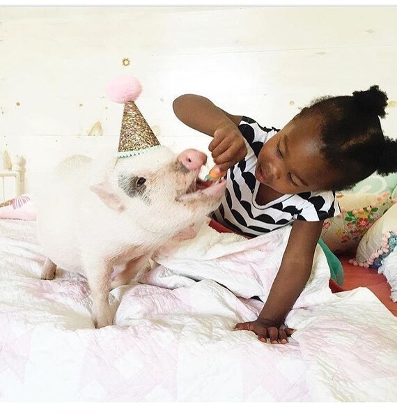 Pig Birthday Party Hat Animal Accessory Handmade