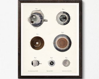 Optometry wall art | Etsy