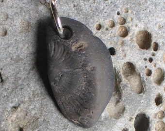 Natural Surf Tumbled Fossil Pendant Sterling Silver Necklace (692)