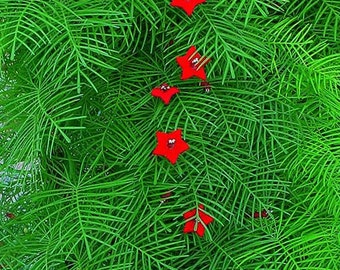 Red Cypress Vine Seeds a.k.a. Hummingbird Vine or Star Glory