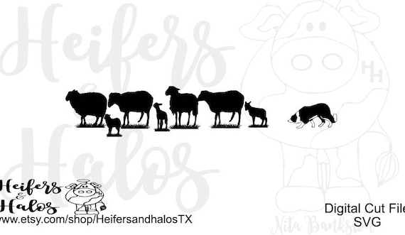 Download Border collie sheep herding svg png pdf eps dxf or cricut