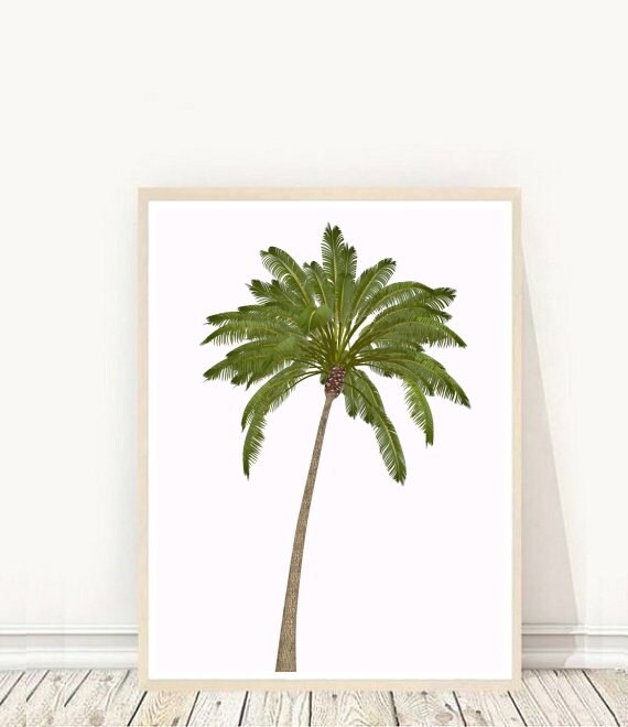 palm tree templates