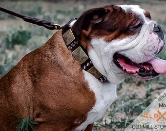 Old english bulldog | Etsy Old english bulldog | Etsy