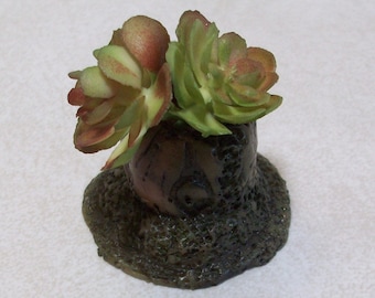 Miniature tree stump planter with succulants: Fairy garden or terrariums Polymer clay rustic tree stump