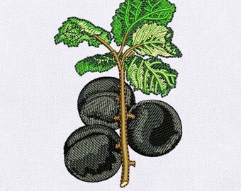 Juicy Plum Digital Embroidery Design