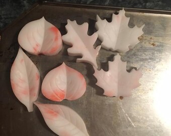 Leaf Assortment