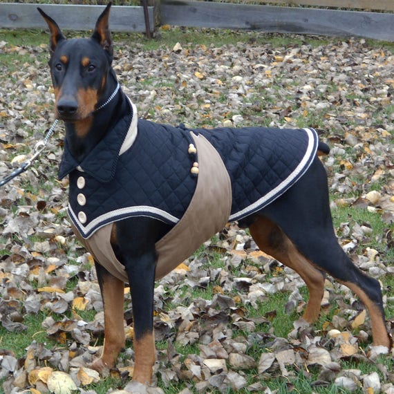 Dog winter coat MASSAI in black/chestnut for large Breeds